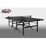 Теннисный стол FENIX Master Sport M32
