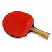 Ракетка Butterfly Timo Boll Silver